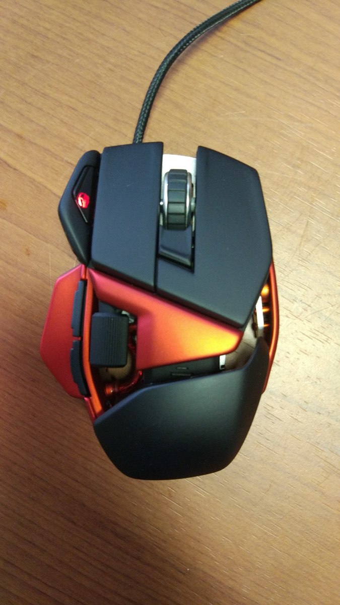 Rat9.jpg