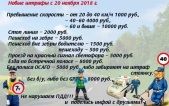 anons_image-31505.jpeg