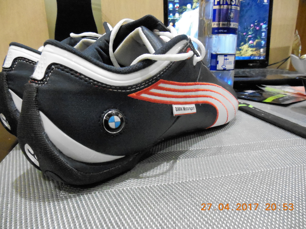 puma2.JPG