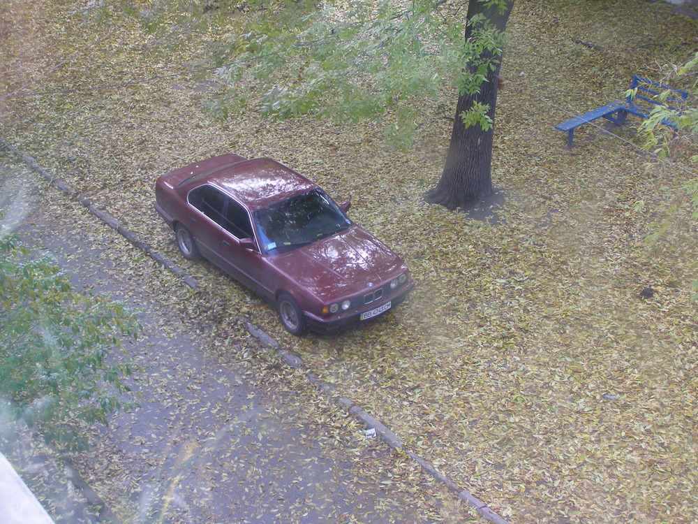 PA160102.JPG