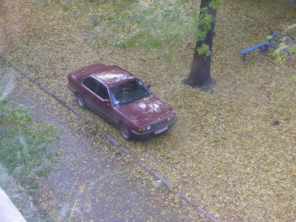 PA160103.JPG