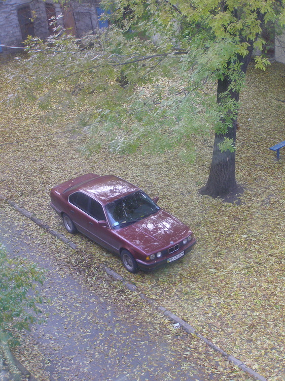 PA160104.JPG